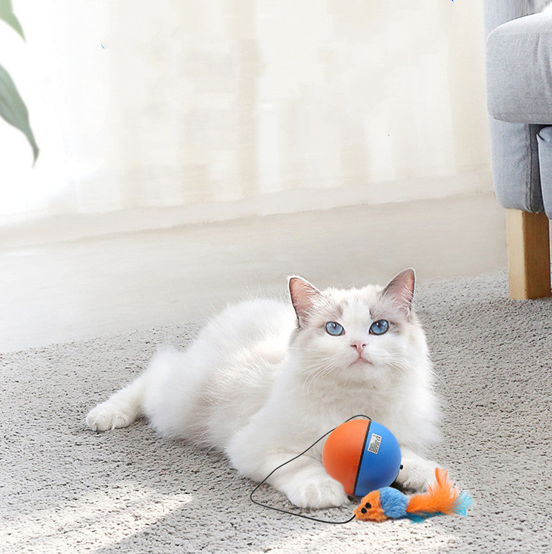 Automatischer Tease Katzen-Spielball
