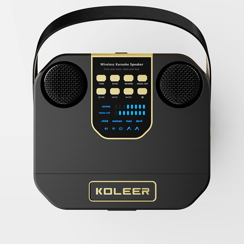 Duales Stereo Karaoke-System