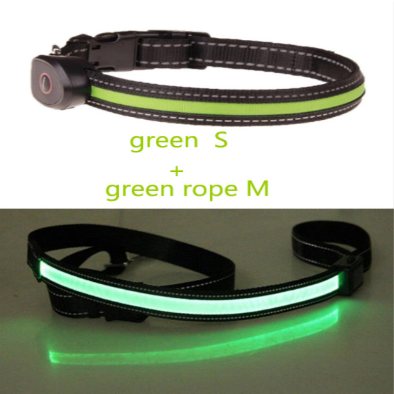 Hundehalsband leuchtend – Bild 2 | LuxeStyle