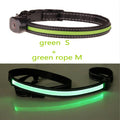 Hundehalsband leuchtend – Bild 2 | LuxeStyle