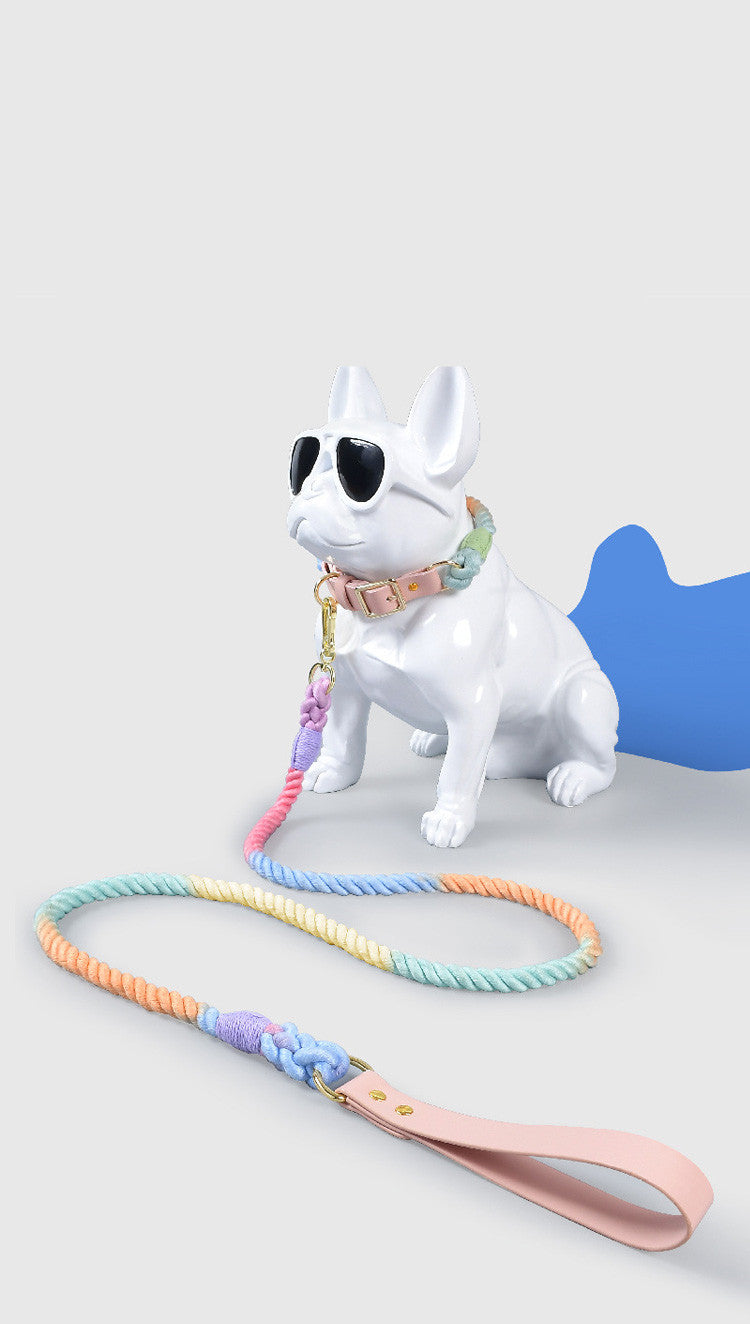 Halsband-Leinen-Set für mittelgrosse Hunde – Bild 20 | LuxeStyle