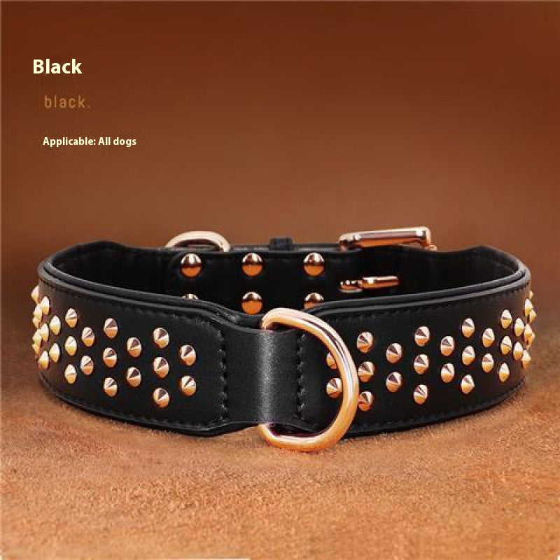 Hundehalsband – Bild 1 | LuxeStyle