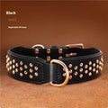 Hundehalsband – Bild 1 | LuxeStyle