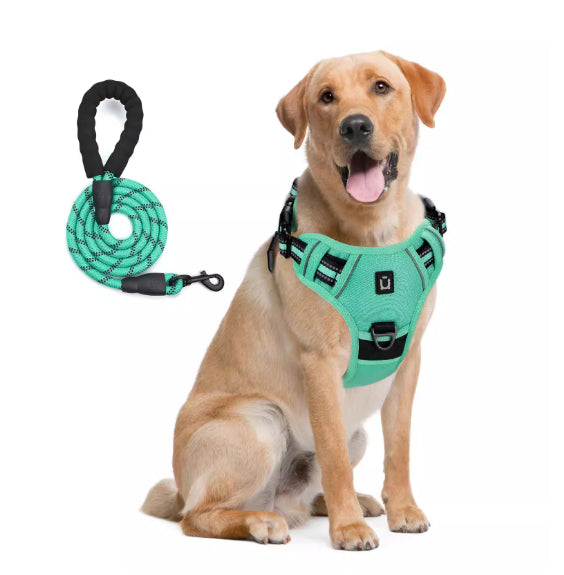 Hundegeschirr & Leine mit Ausbruchschutz – Bild 1 | LuxeStyle