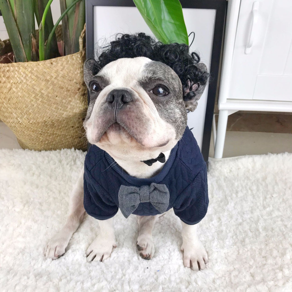 Wollpullover für Hund – blau, Grösse M – Bild 2 | LuxeStyle