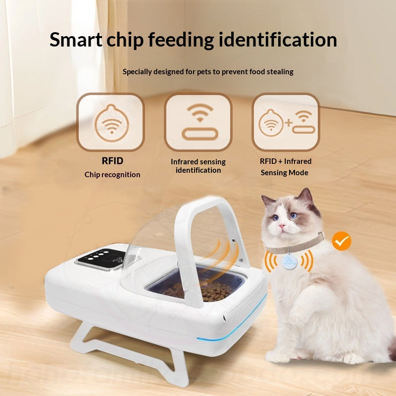 Automatischer Futterspender für Katzen