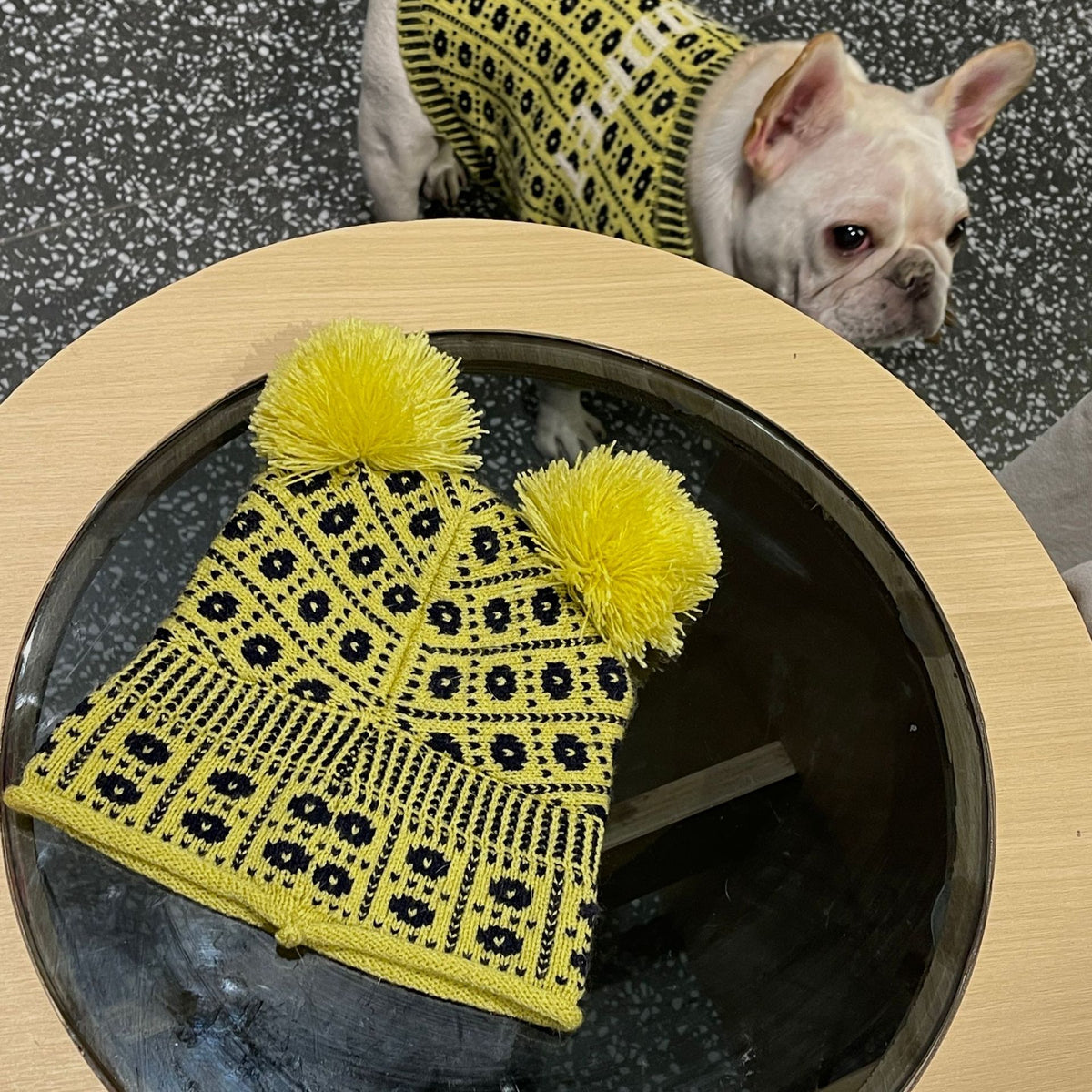 Winterpullover für Hund & Katze – Bild 7 | LuxeStyle