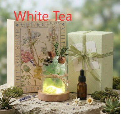Aromatherapie-Set mit Diffusor-Steinen