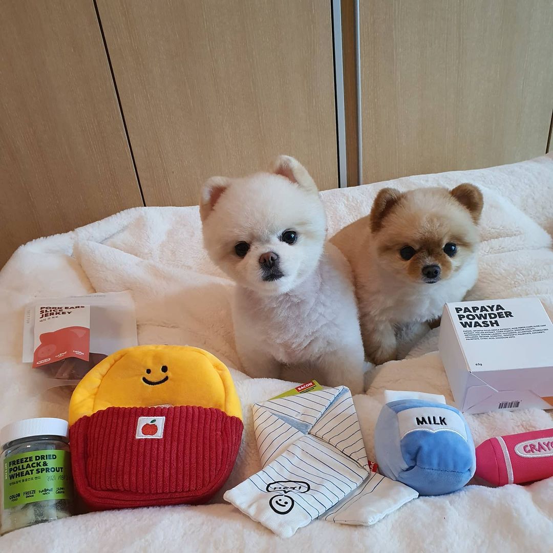 3-teiliges Plüsch-Spielzeug-Set für Hunde
