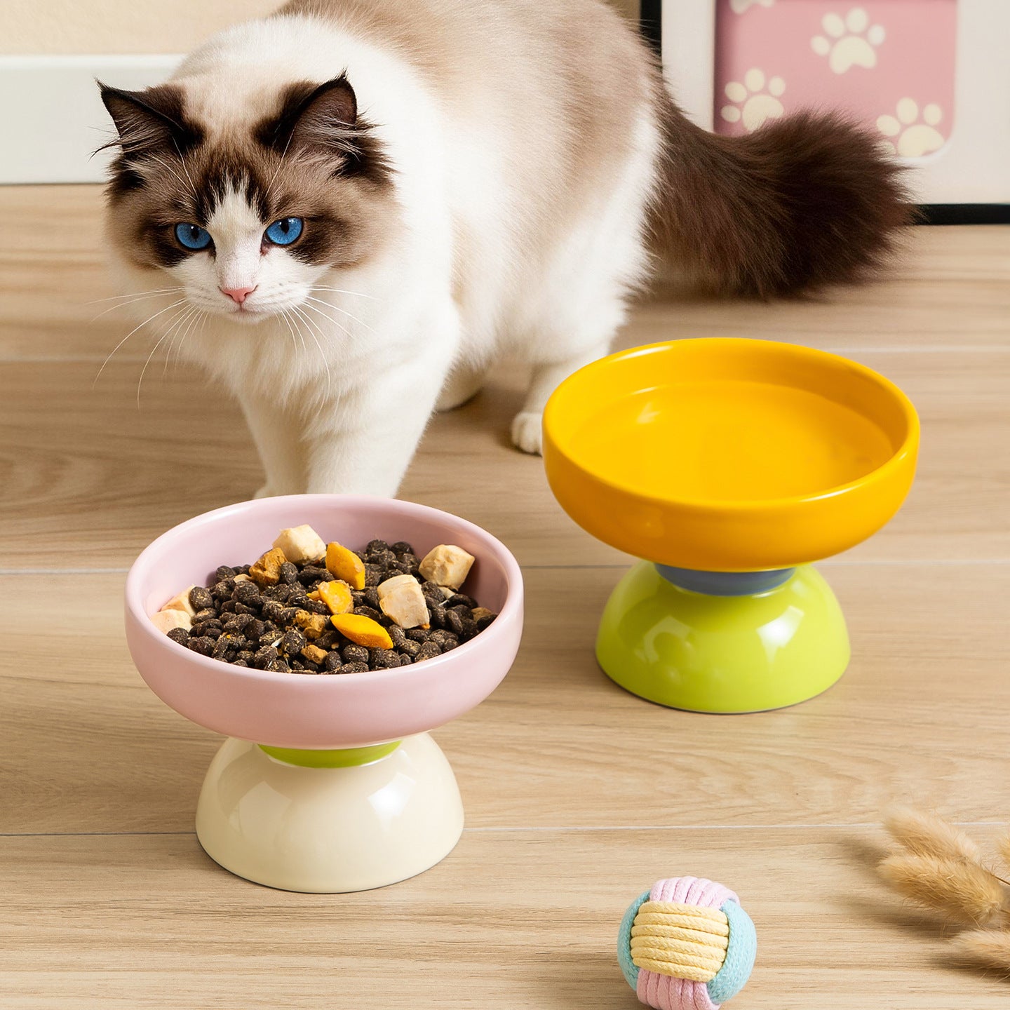 Macaron Keramik Napf erhöht für Katzen