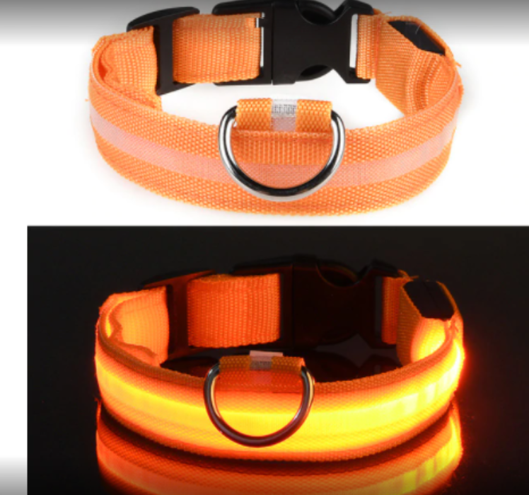 Leuchthalsband wasserdicht, USB-Ladefunktion – Bild 5 | LuxeStyle