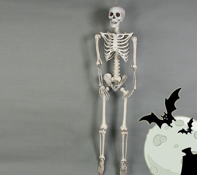 Skelett-Gerippe für Halloween-Deko – Bild 6 | LuxeStyle