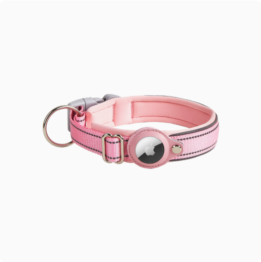 Reflektierendes Nylon-Halsband, verstellbar