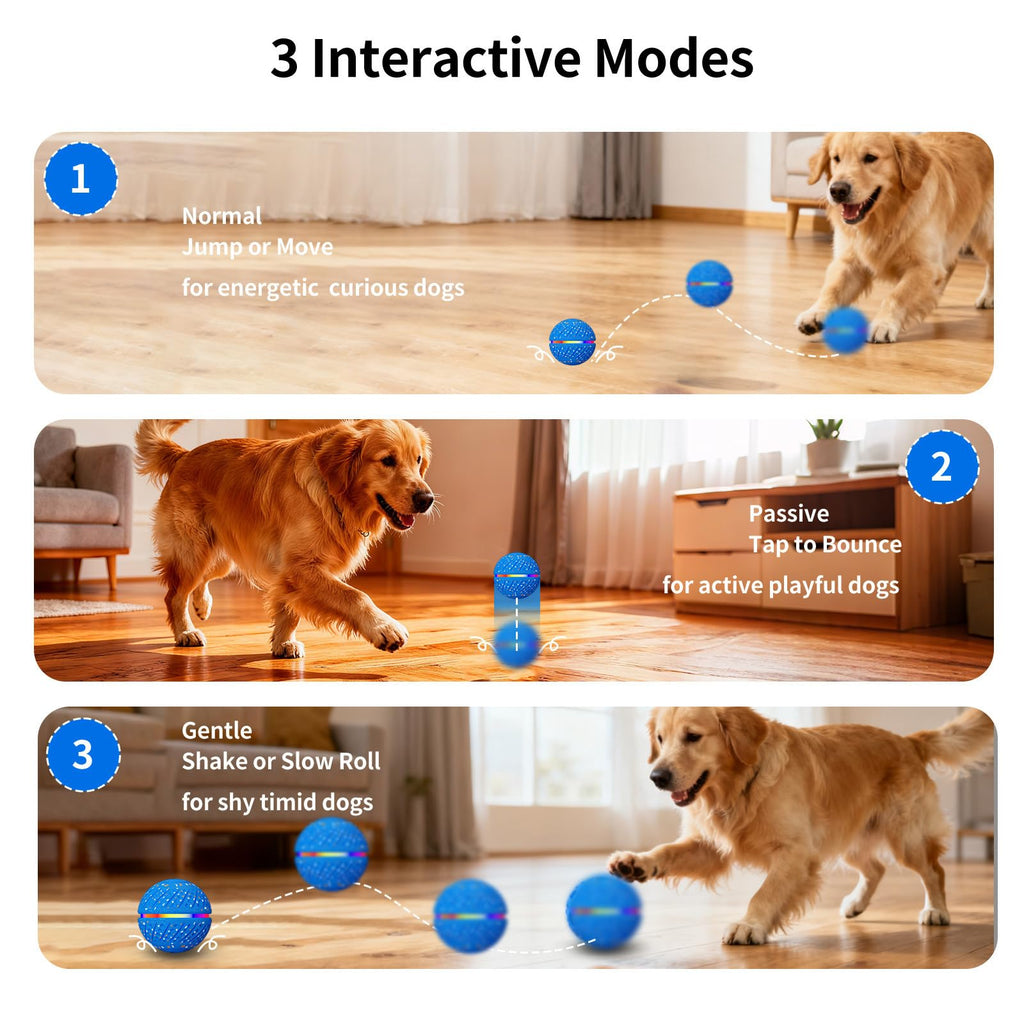 Interaktiver Hüpfball für Hunde
