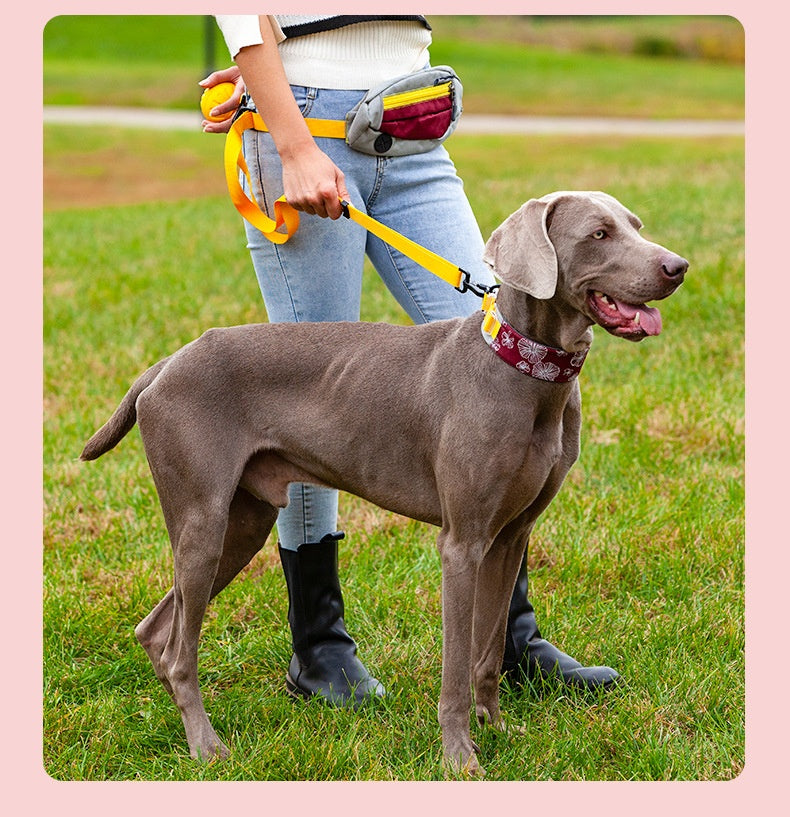 Verstellbares Katzenhalsband mit Halstuch – Bild 4 | LuxeStyle