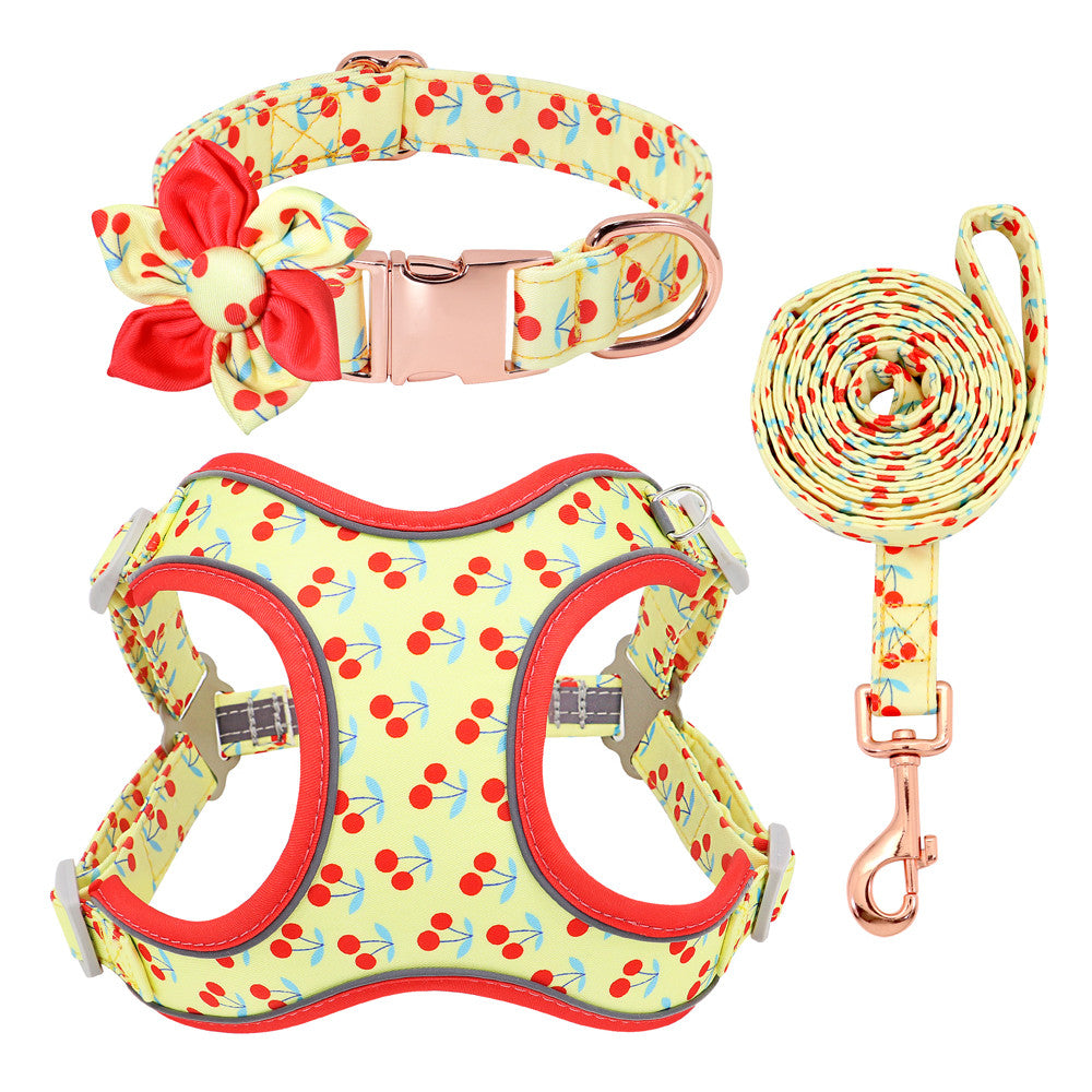 Hundeleine, Halsband und Gstältli-Set – Bild 5 | LuxeStyle