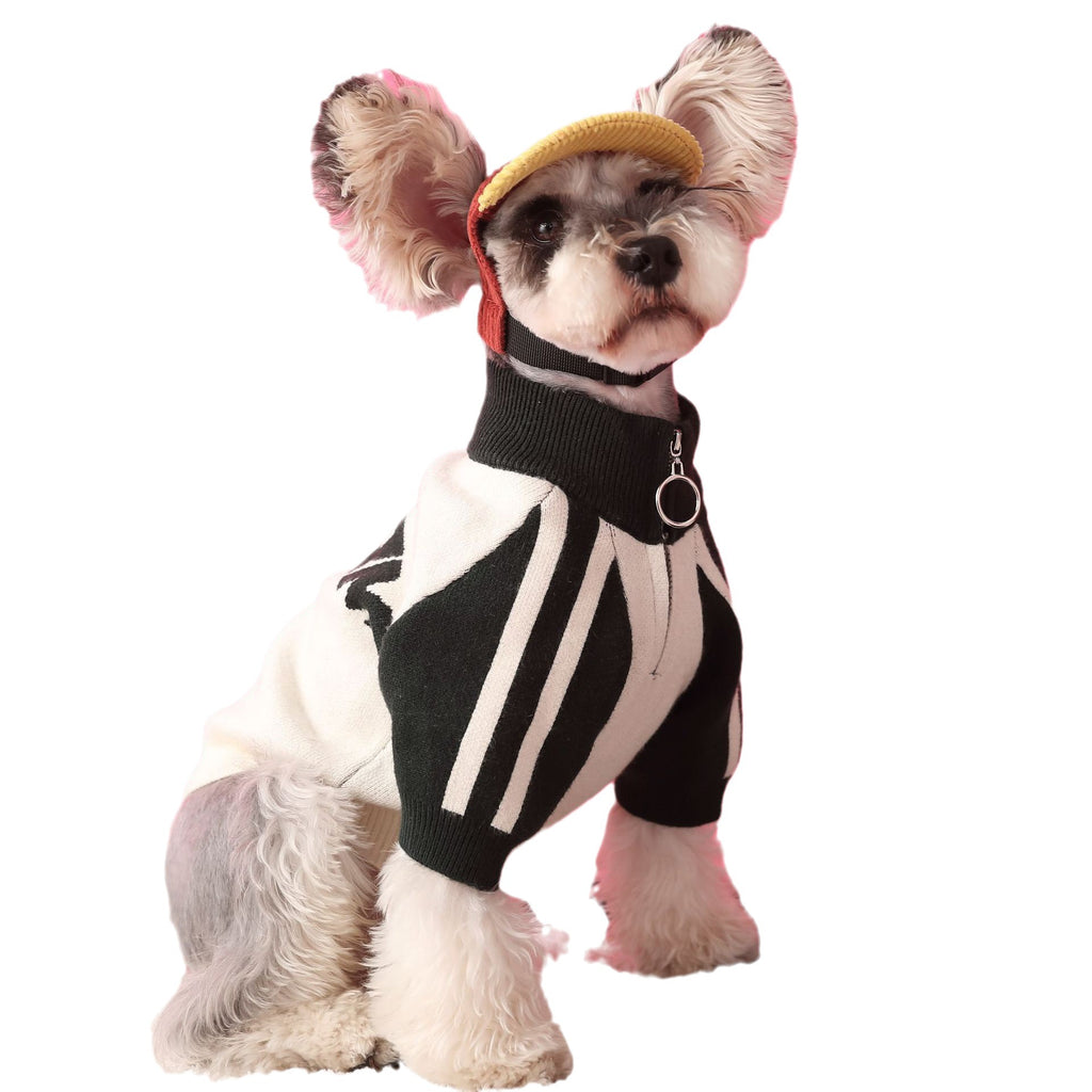 Hundepullover für Sport und Freizeit – Bild 5 | LuxeStyle