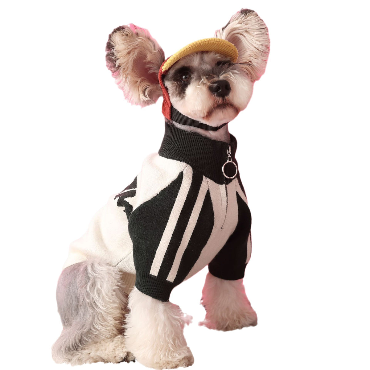 Hundepullover für Sport und Freizeit – Bild 5 | LuxeStyle