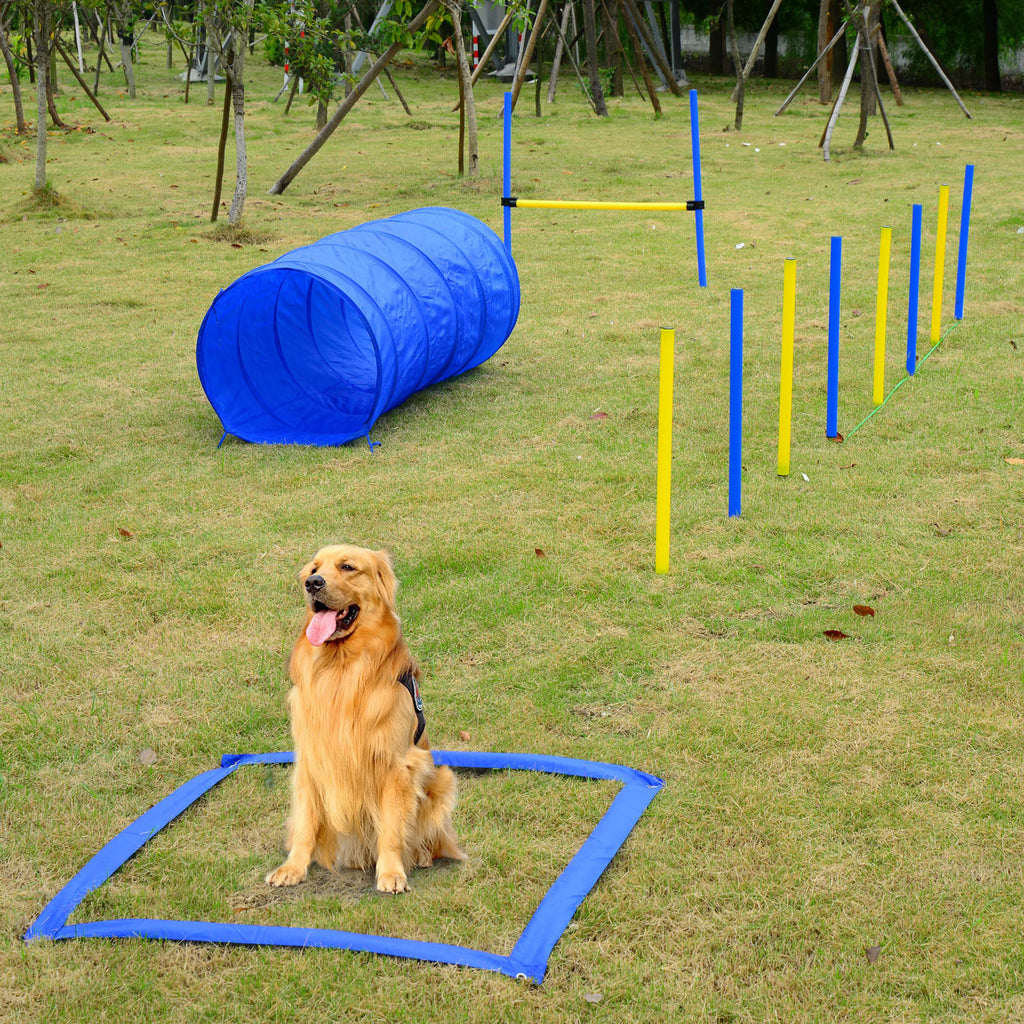 Agility-Trainingsset für Hunde