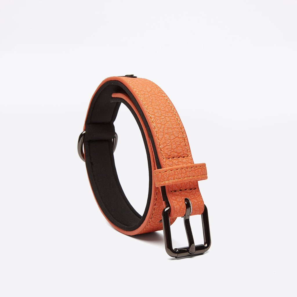 Weiches Hundehalsband aus PU