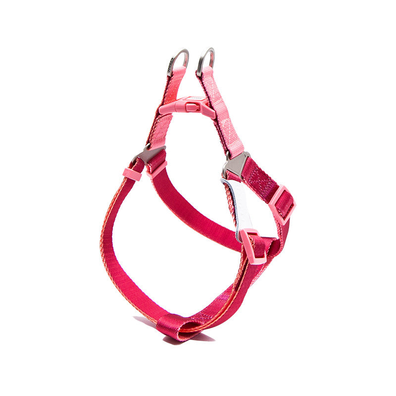 Hundehalsband mit Leine