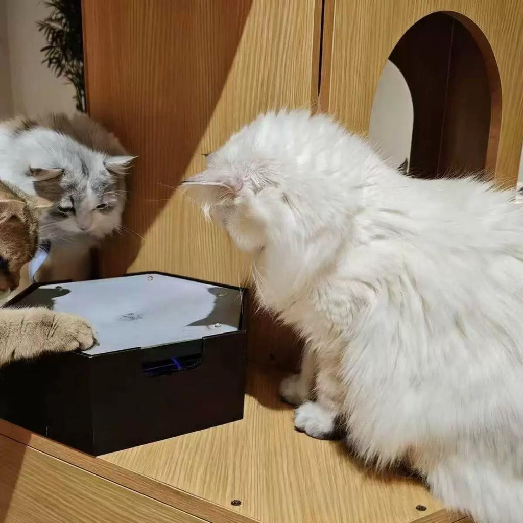 Katzenspielzeug