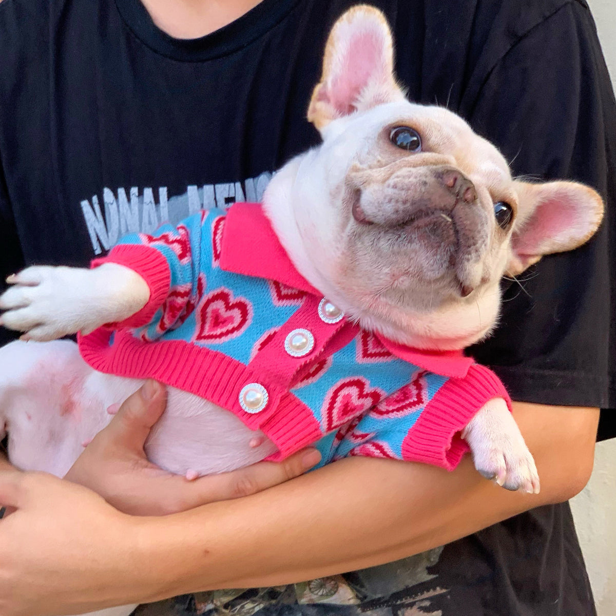 Pullover für Hund und Katze aus Wolle – Bild 3 | LuxeStyle