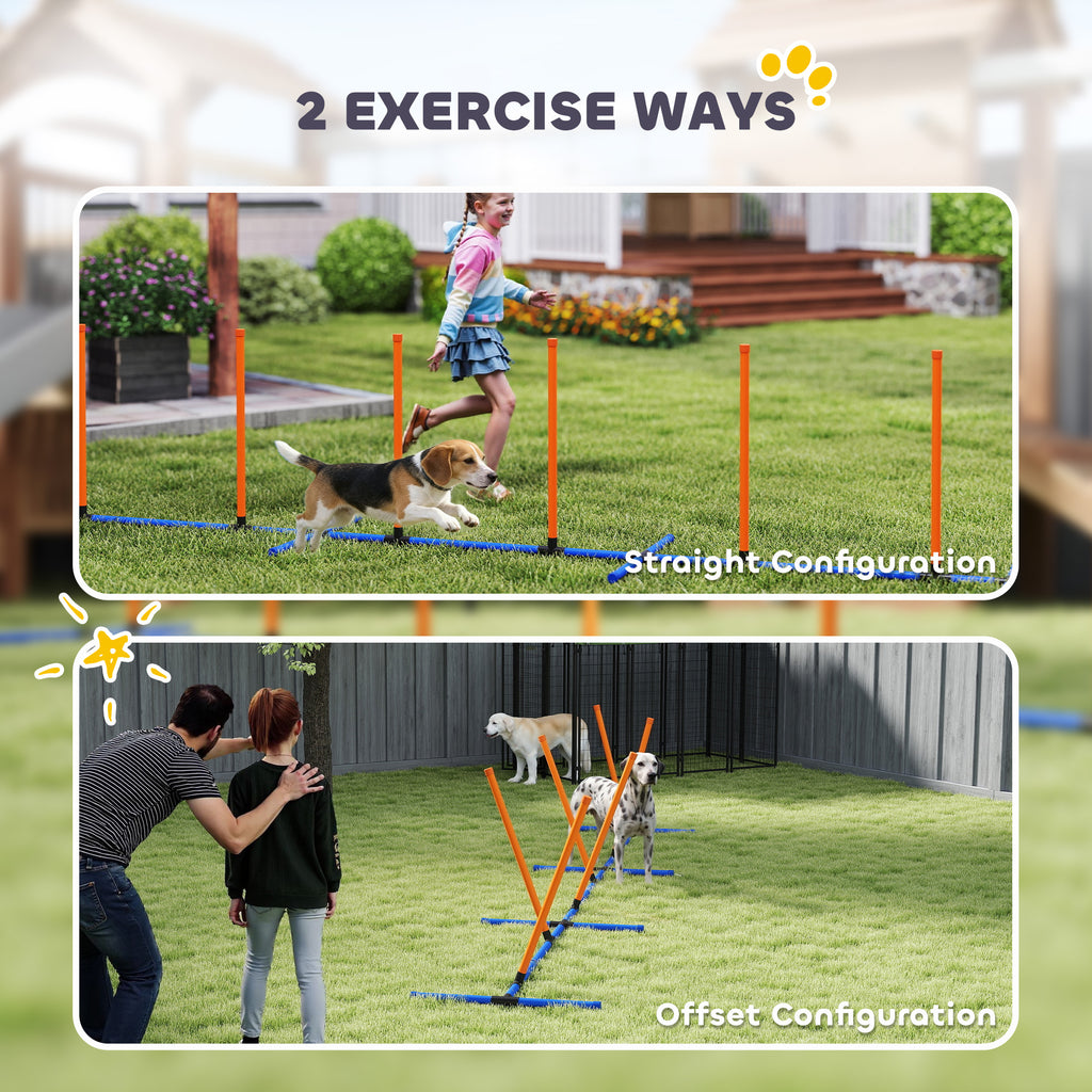 Agility-Trainingsset für Hunde, verstellbar