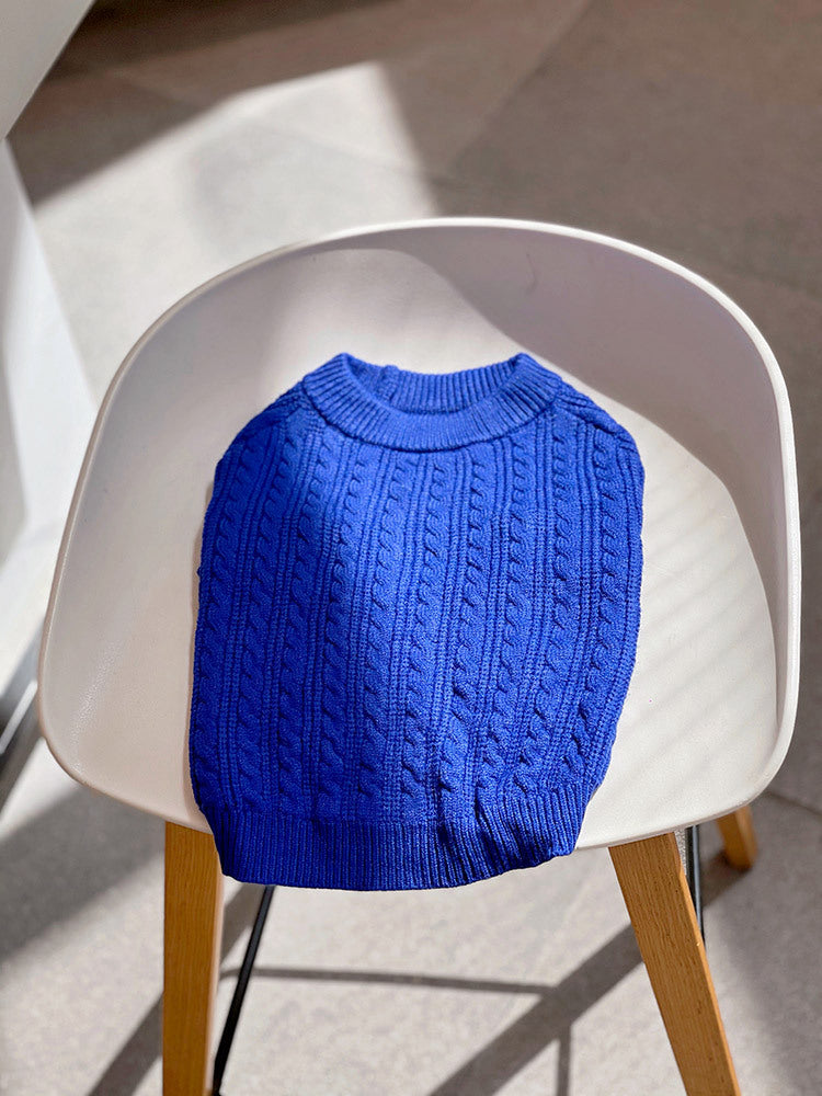Bichon Corgi Winterpullover Blau – Bild 6 | LuxeStyle