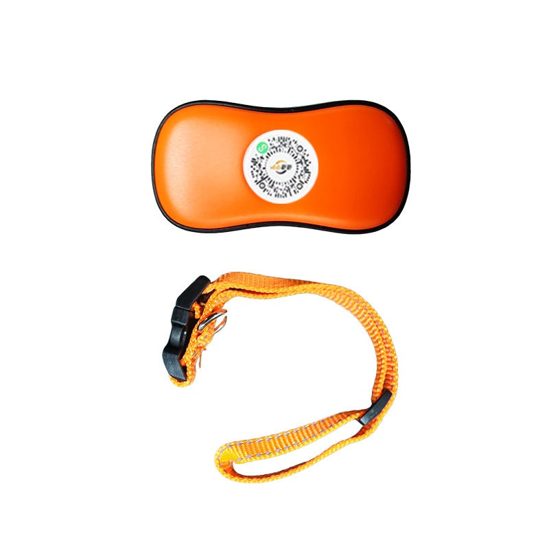 Katzenhalsband mit GPS