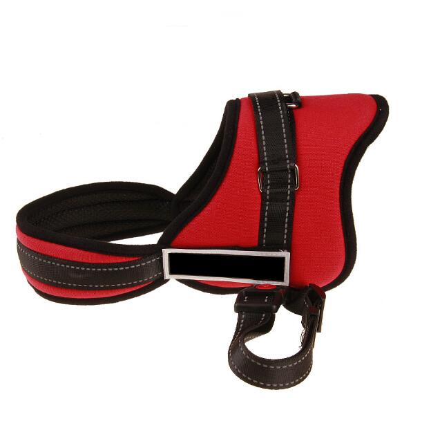 Hundegeschirr für breite Brust | LuxeStyle