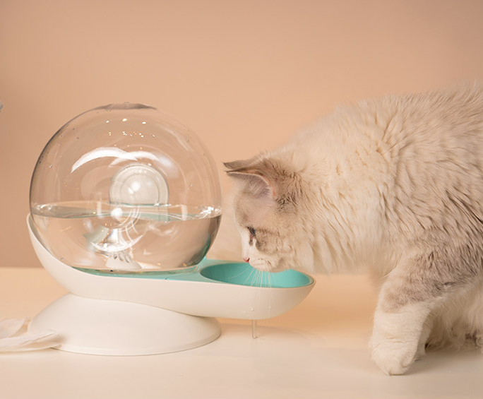 Katzen-Trinkbrunnen mit Filterfunktion – Bild 5 | LuxeStyle