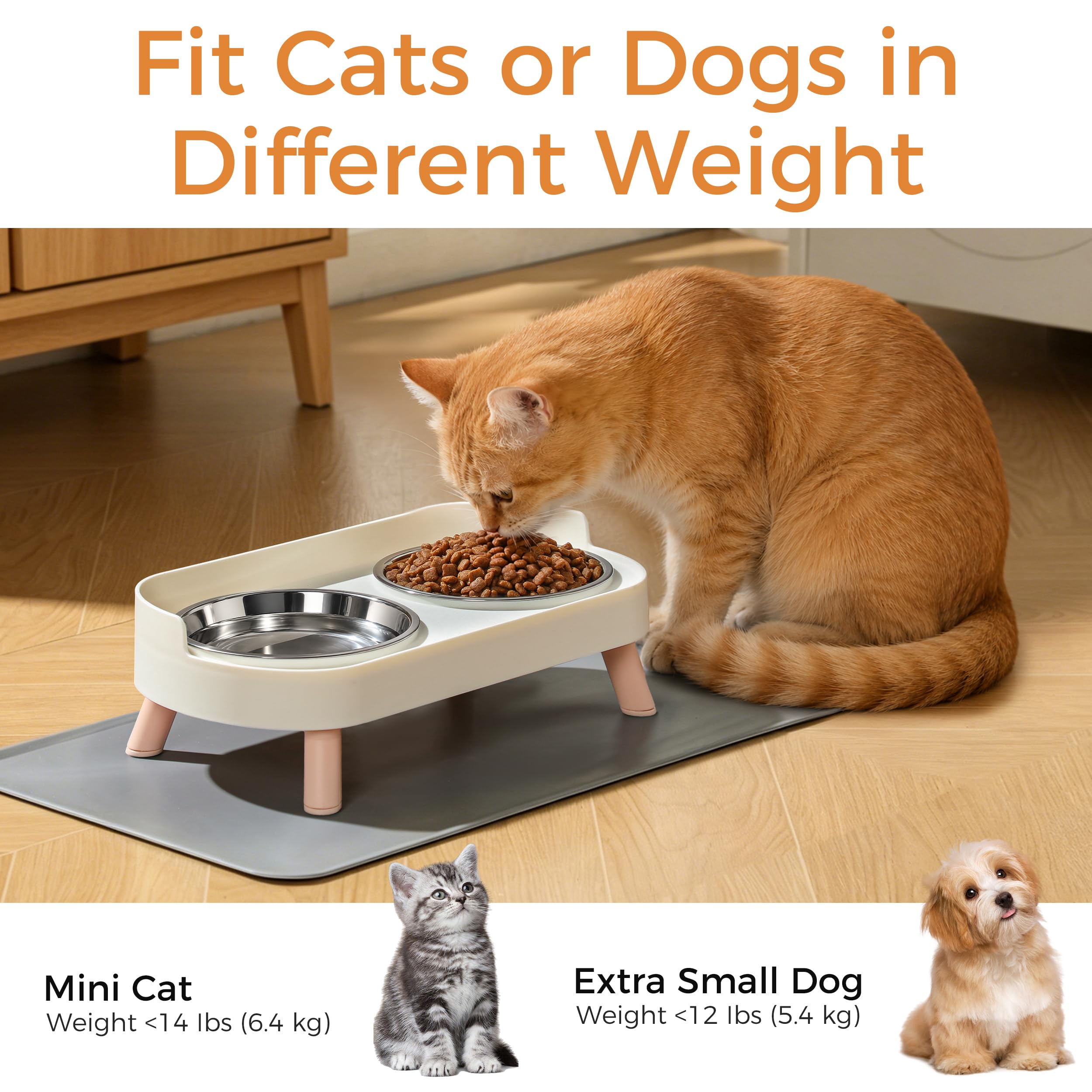 Erhöhte Katzennapf-Set