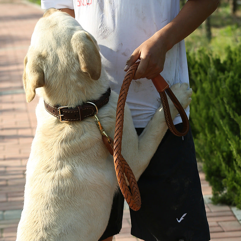Langleine für grosse Hunde