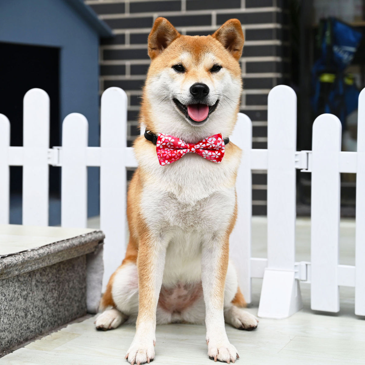 Japanischer Katzenkragen – Bild 5 | LuxeStyle