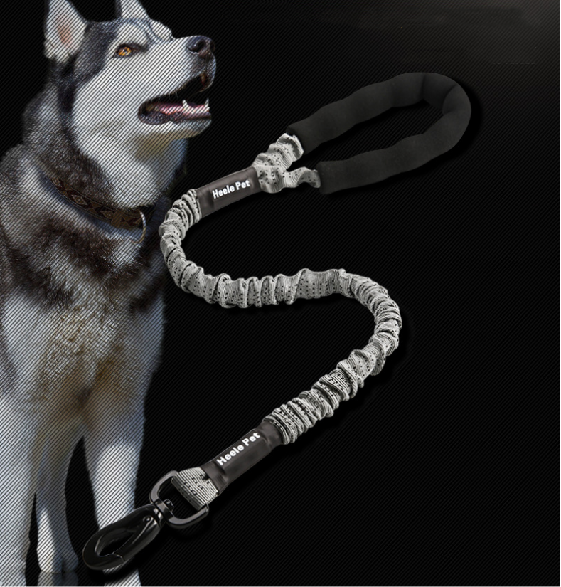 Elastische Hunde-Leine mit Ruckdämpfer – Bild 9 | LuxeStyle