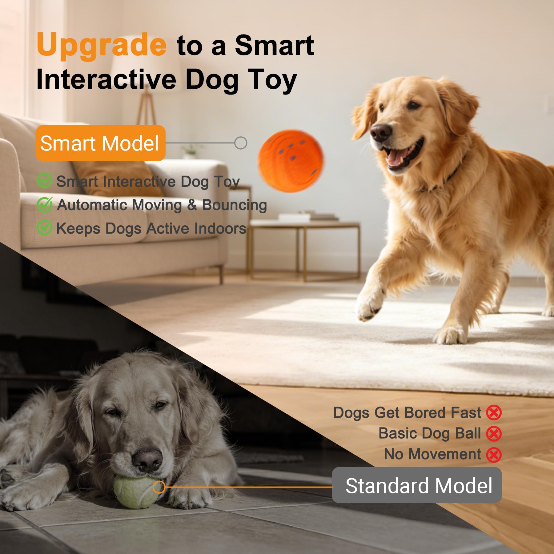 Interaktiver Hüpfball für Hunde
