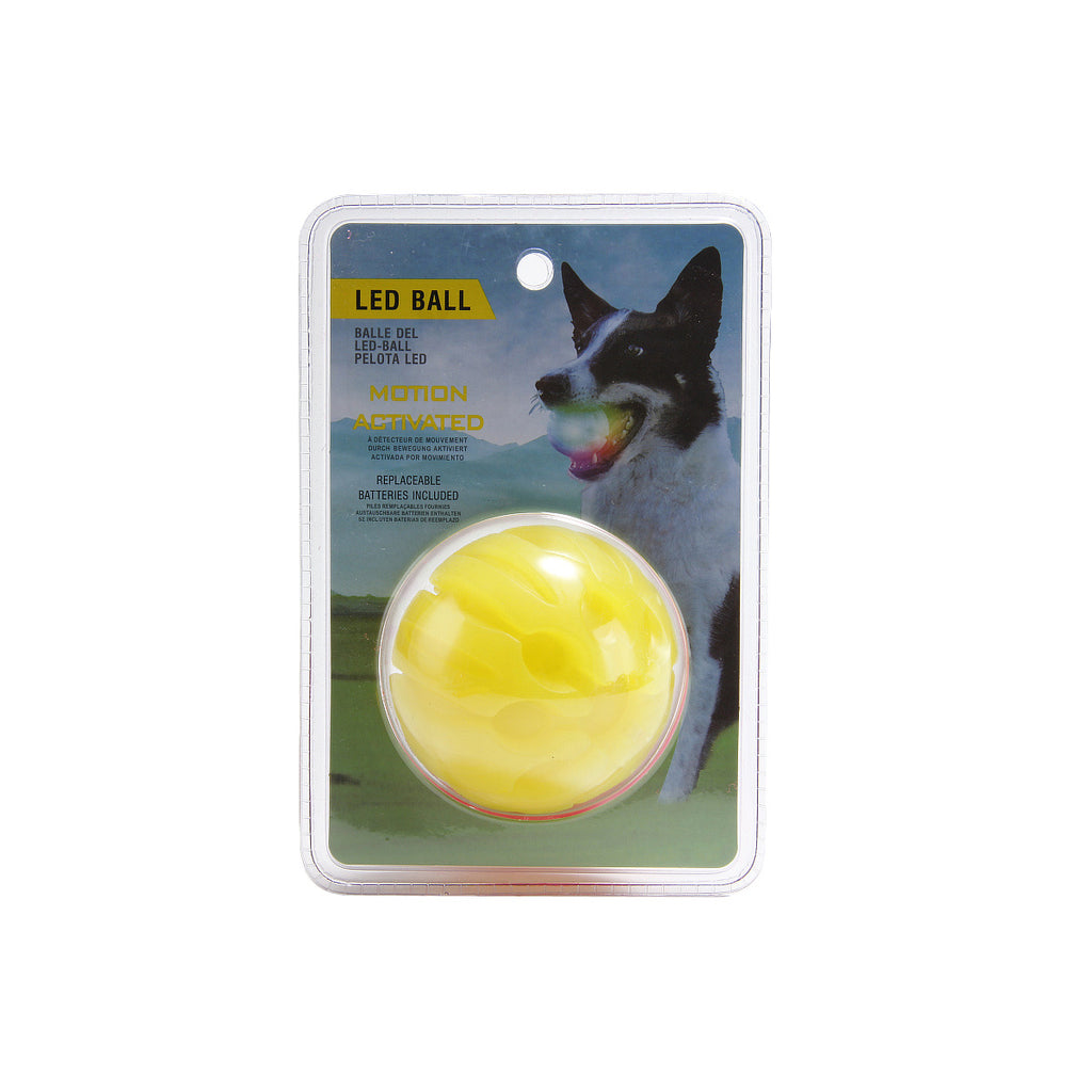 Leuchtender Beissball für Hunde – Bild 6 | LuxeStyle