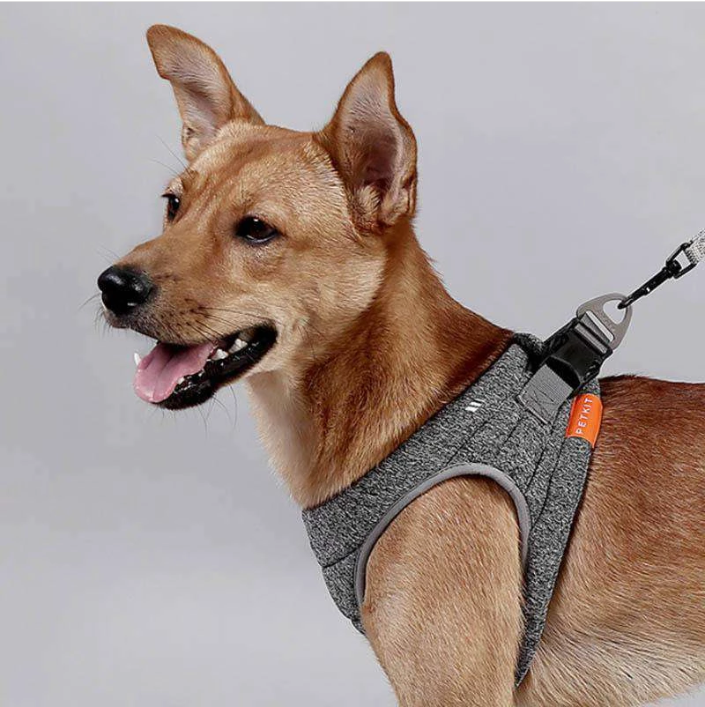 Hundehalsband aus Stoff – Bild 3 | LuxeStyle