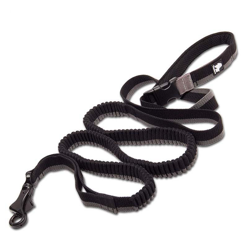 Elastische Hunde-Joggingleine | LuxeStyle