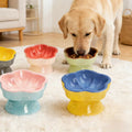 Keramik-Futternapf für Hunde & Katzen