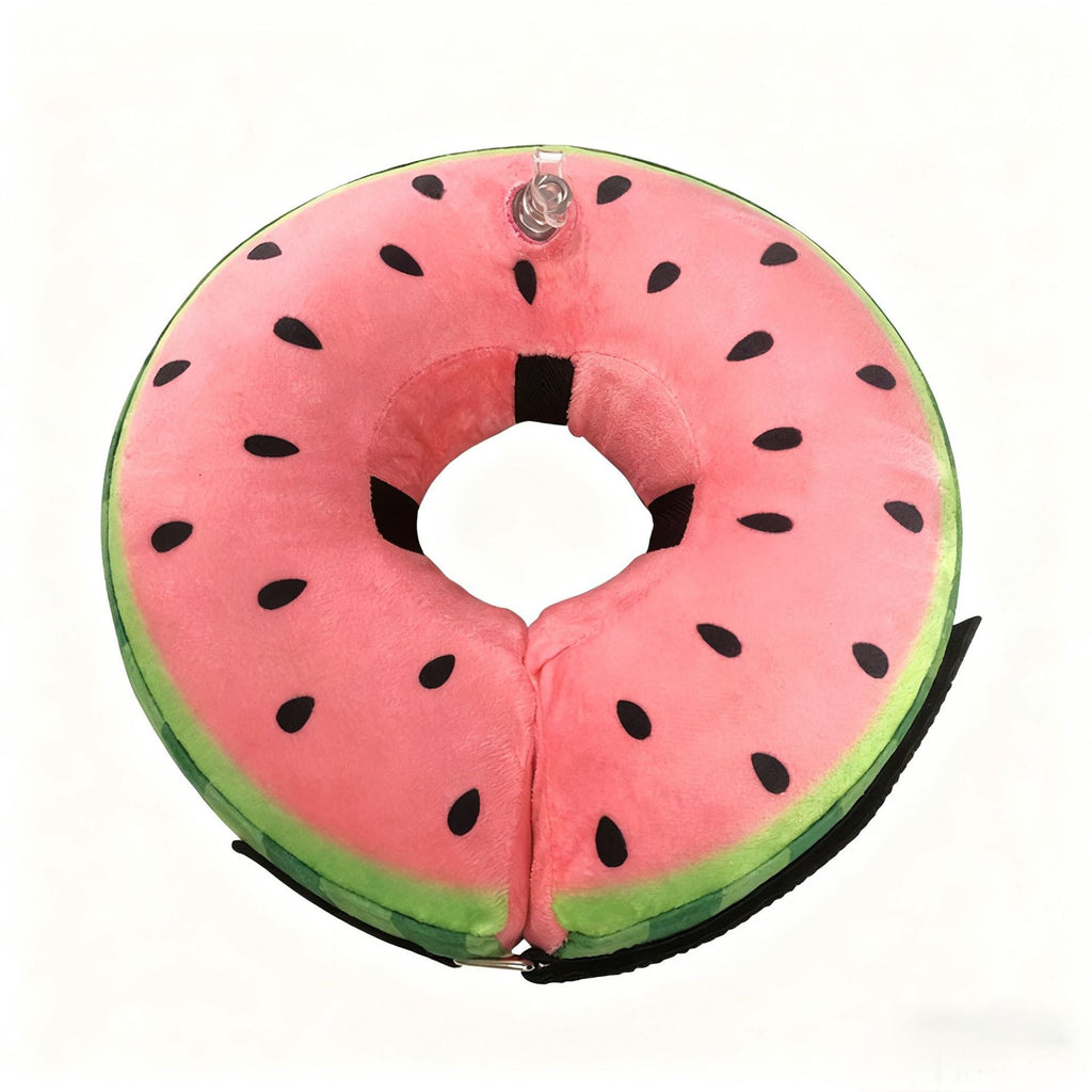 Hundegurt zur Lick-Prävention nach OP