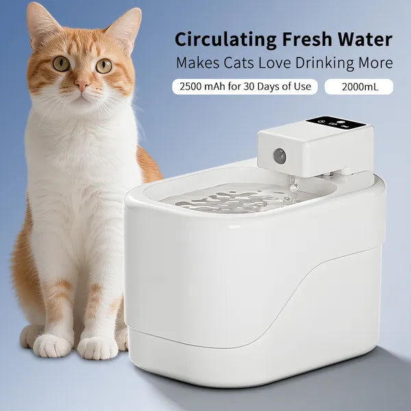 Trinkwasser-Dispenser für Haustiere