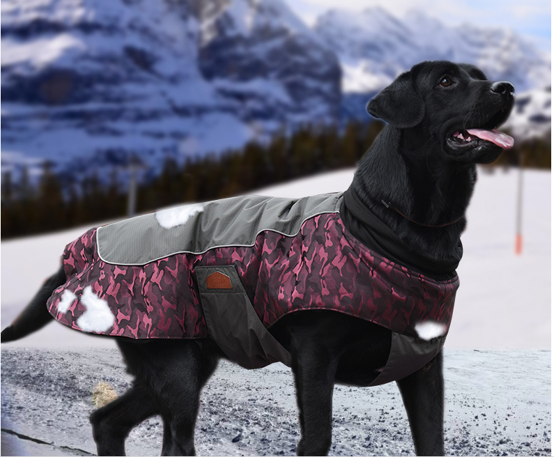 Winterjacke für Hunde