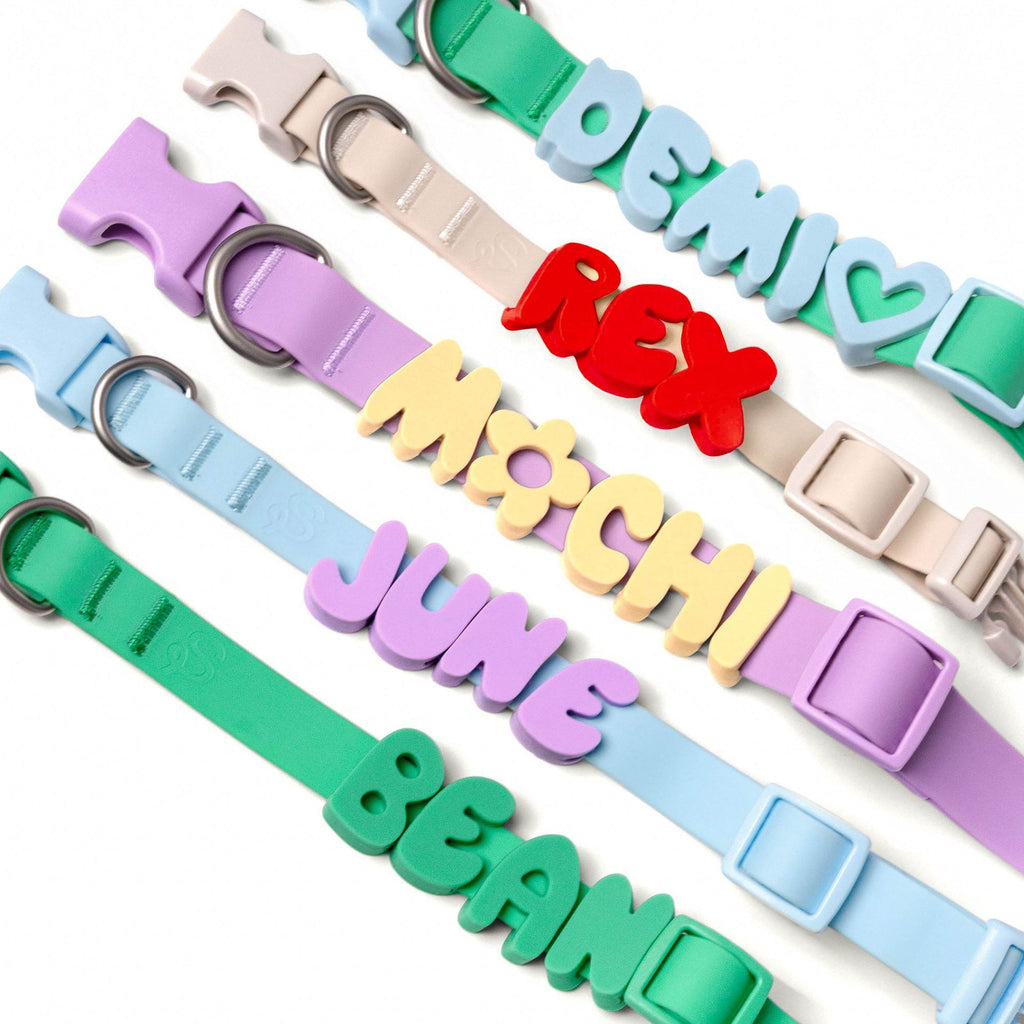 Personalisierte Halsband mit Zugleine