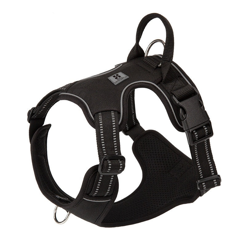Gepolsterte Hunde-Halsung