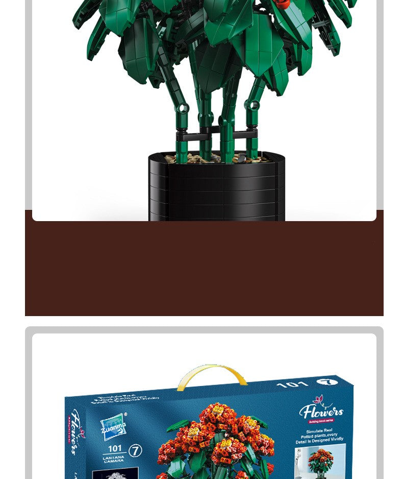 Pflanzen-Bausteine: Pferdelantana Bonsai – Bild 5 | LuxeStyle