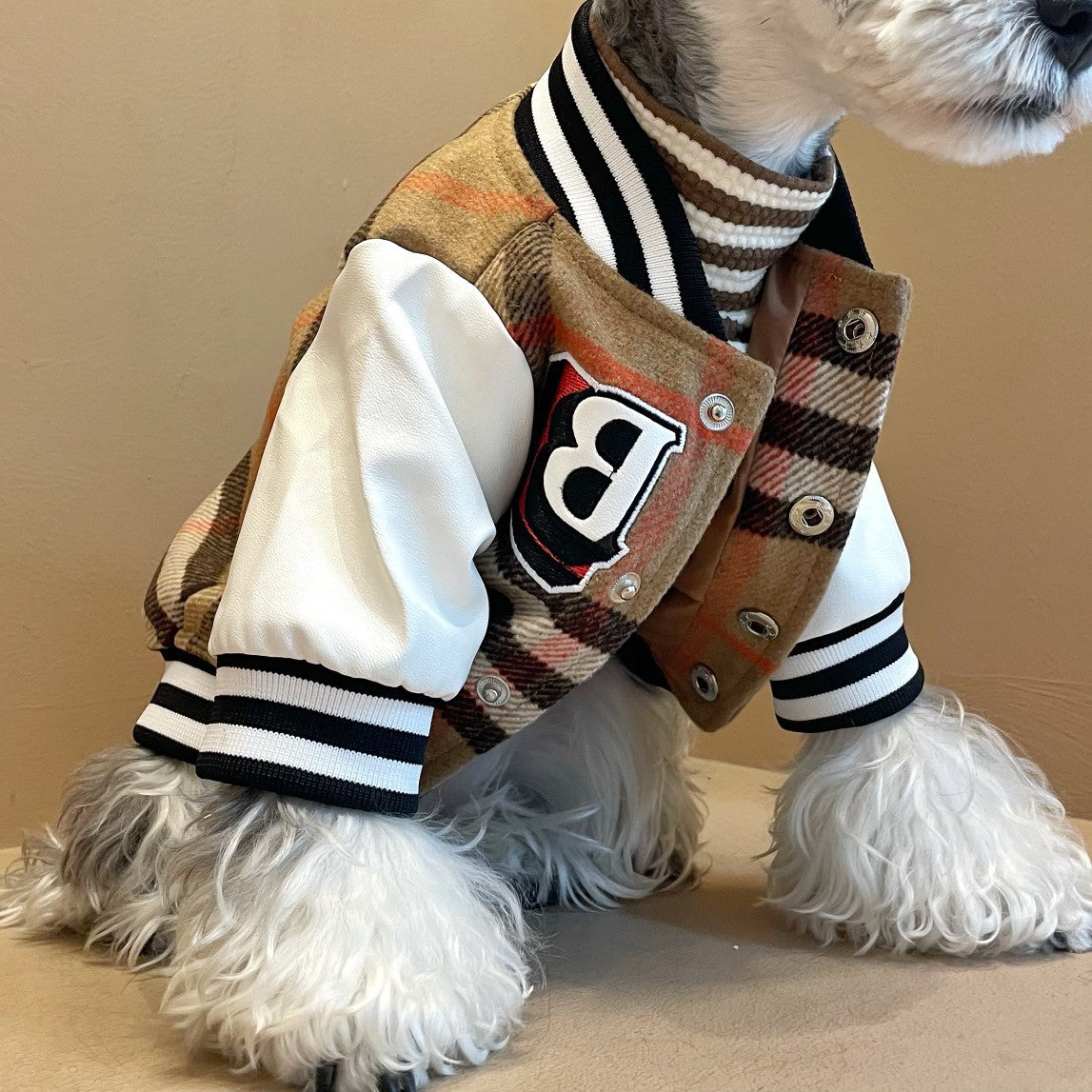 Hunde-Winterjacke aus Wolle