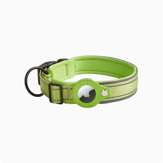 Reflektierendes Nylon-Halsband, verstellbar
