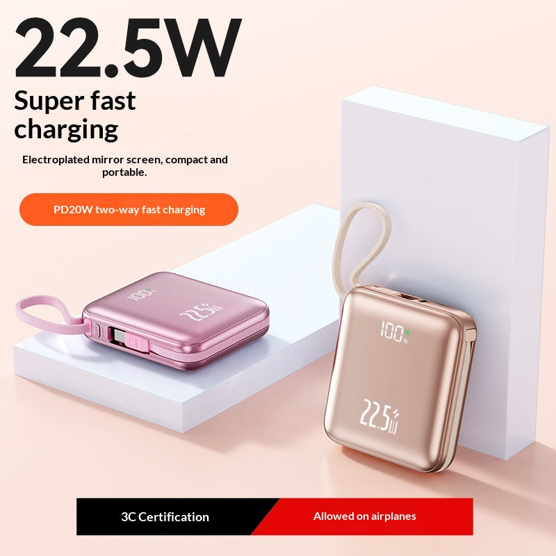 Powerbank mit 10000mAh und Dual-Kabel